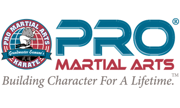 Pro Martial Arts Image